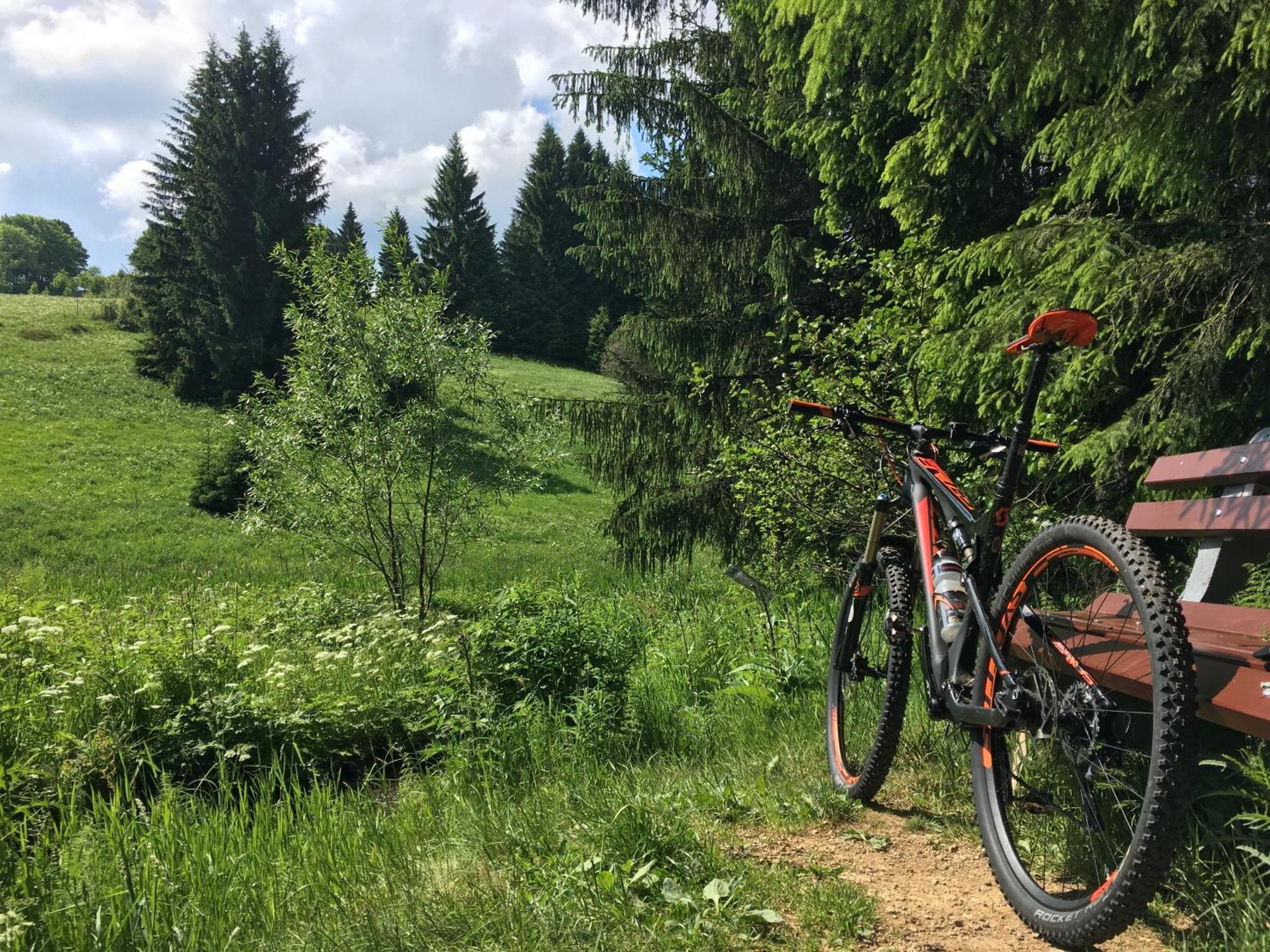 Zur Bergwiese 5 Sterne Appartementhaus Furstenau  Номер фото